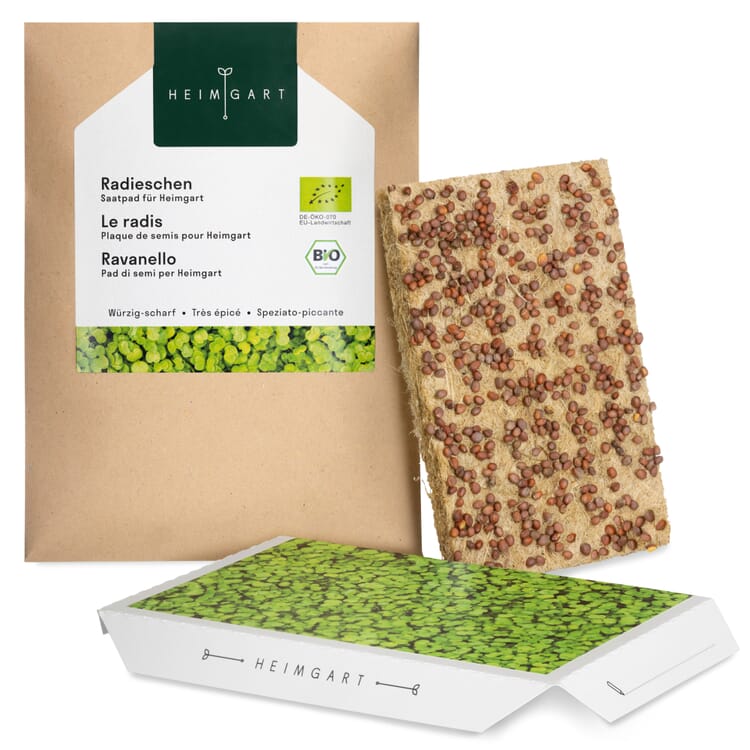 Cuscinetto di semi biologici Microgreens, Ravanello