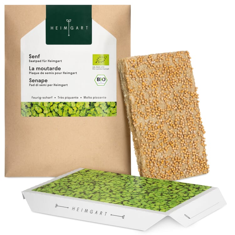 Cuscinetto di semi biologici Microgreens, Senape