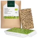 Cuscinetto di semi biologici Microgreens Broccoli