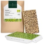 Organic Seed Pad for the Microgreens Sprouts Kit Broccoli