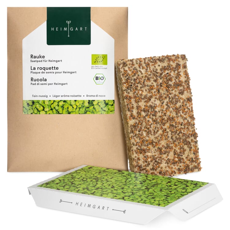 Almohadilla de semillas ecológicas Microgreens, Cohete