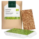 Almohadilla de semillas ecológicas Microgreens Berro de jardín