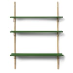 Wall shelf RM3 RAL 6011 Reseda green