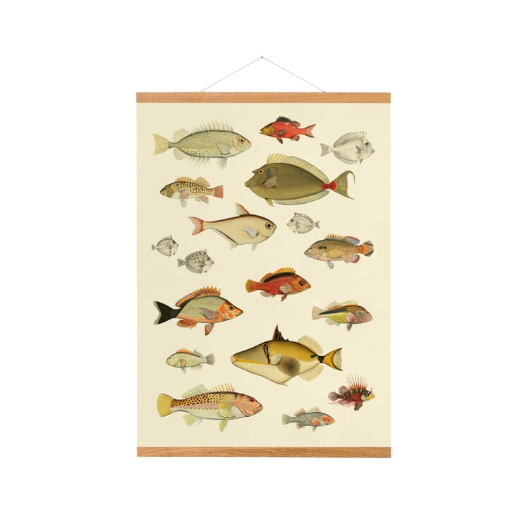 Baguette à tableaux en chêne magnétique, largeur 50 cm