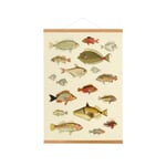 Magnetic Picture Rail Made of Oak Wood Width 50 cm
