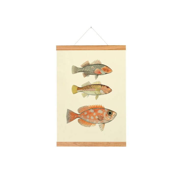 Baguette à tableaux en chêne magnétique, largeur 30 cm