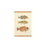 Magnetic Picture Rail Made of Oak Wood Width 30 cm
