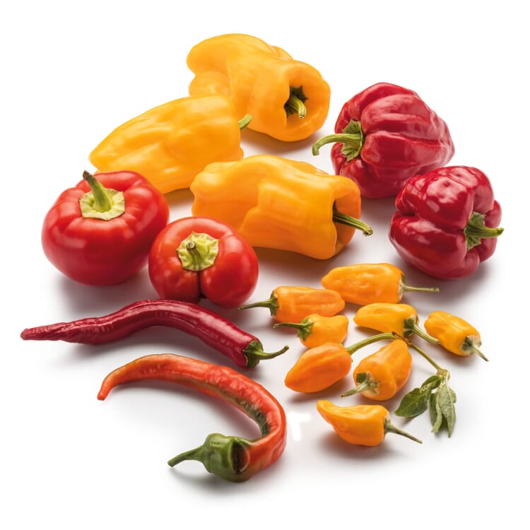 Gemüsesamen 'Besondere Chilis und Paprika'