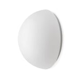 Semispherical Wall and Ceiling Light by Limburg