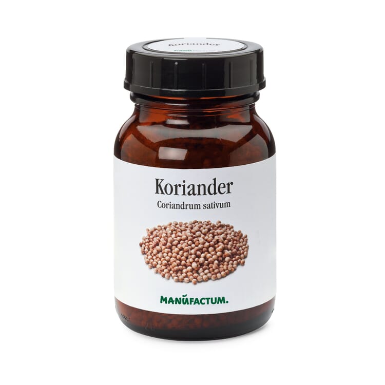 Coriander