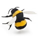 Cösen bumblebee
