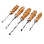 Five Piece Screwdriver Set