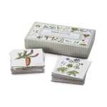 Memory game meadow plants