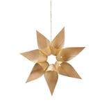 Wood Shaving Star Large