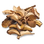Porcini Mushrooms from Piedmont