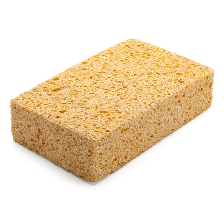 Household sponge cellulose