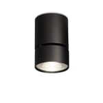 Proyector de superficie Wittenberg RAL 9005 Negro intenso
