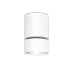 Proyector de superficie Wittenberg RAL 9016 Blanco tráfico