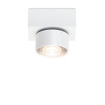 Downlight in a Box Wittenberg Traffic White RAL 9016