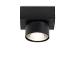 Downlight in a Box Wittenberg RAL 9005 Jet black