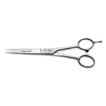 Dovo Stainless Steel Hair Scissors
