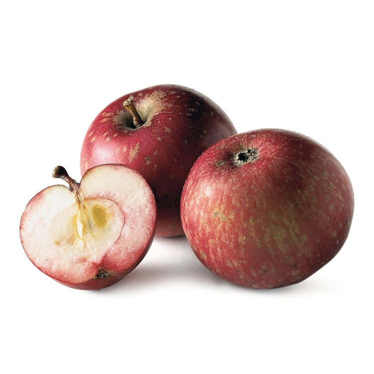 Pomme d'hiver 'Rote Sternrenette' (étoile rouge)
