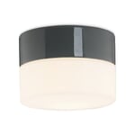 Wall and Ceiling Light Cylinder LED Four Grey / Frosted