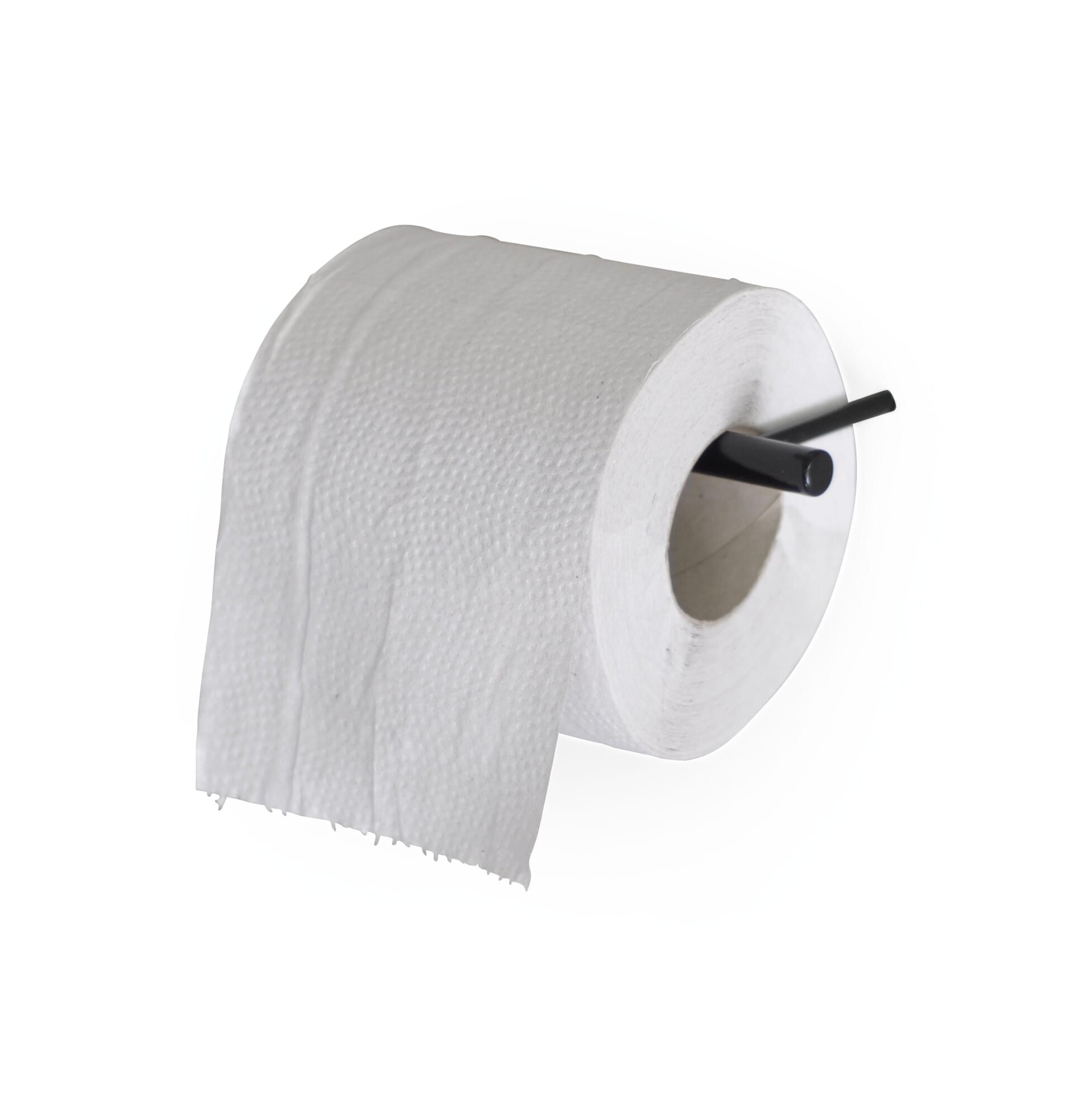 Slaapkamer Pamflet Verkleuren Toiletpapierhouder Lijnhaak, RAL 9005 Gitzwart | Manufactum
