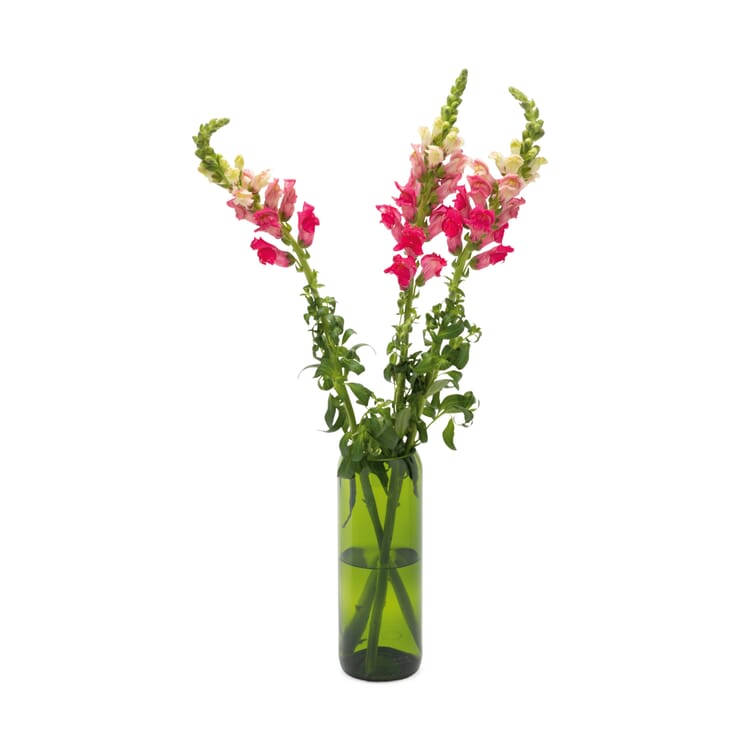 Vase vinflaske, Medium