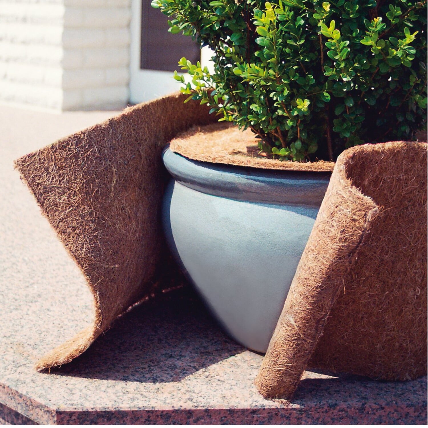 Frostschutz für Pflanzen Manufactum