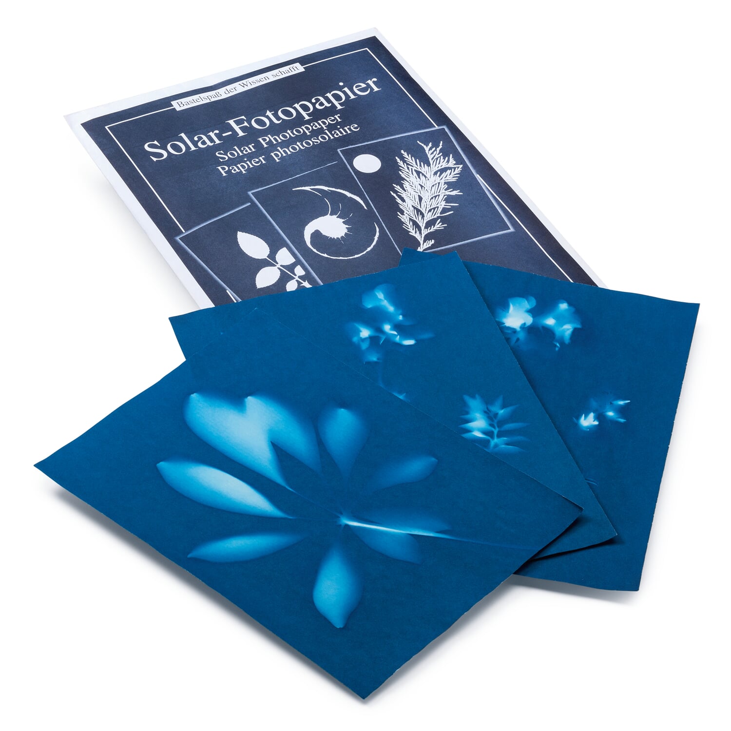 Cyanotype Paper Manufactum