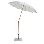 Small parasol ash wood Nature