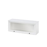 Cabinet Element 28 Door Clear Glass White lacquered