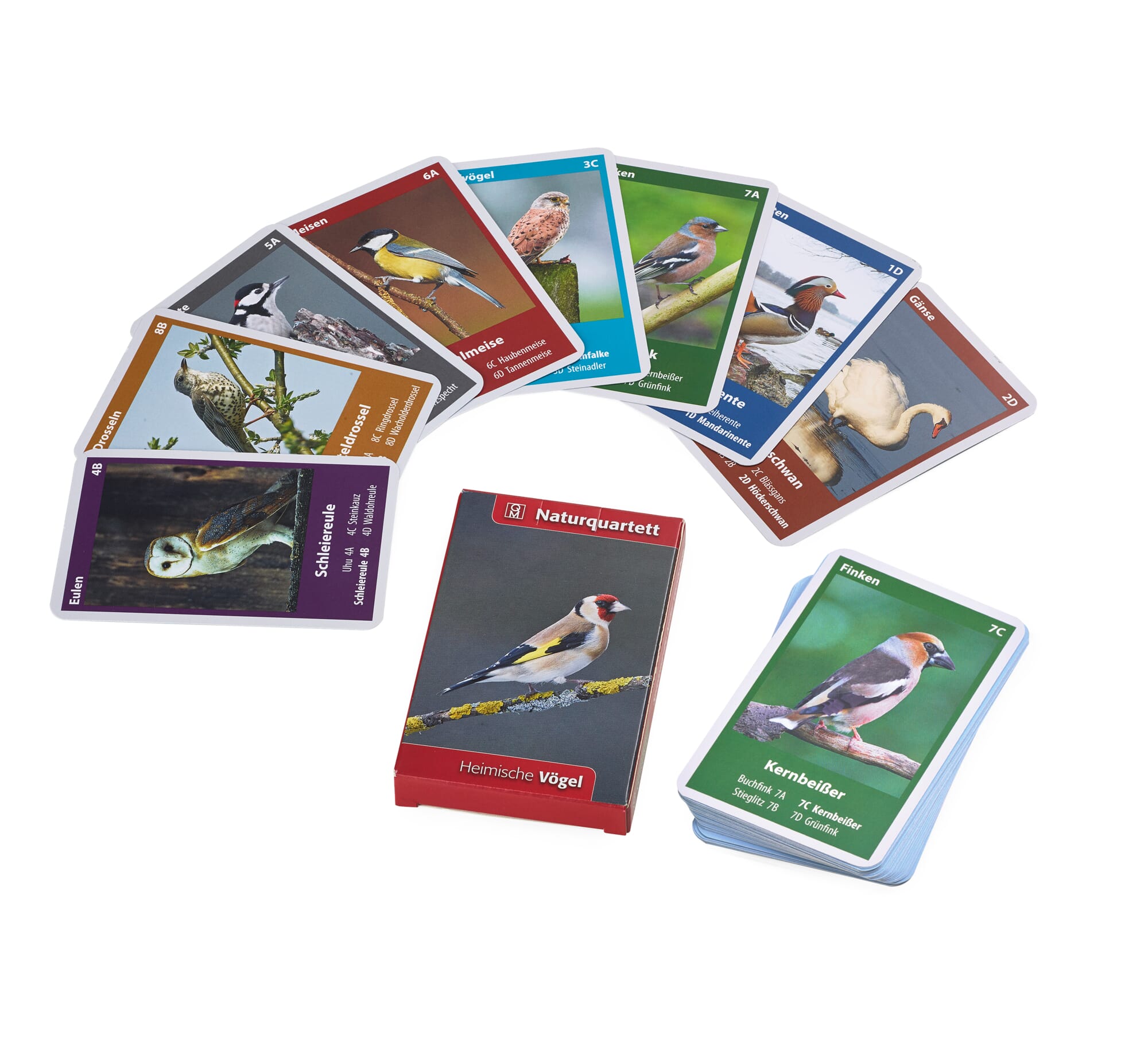 Quelle Kartenspiel Kartenspiel ab 2 Spieler Heimische Insekten Naturquartett 
