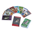 Quartet Game Central European Birds
