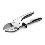 Anniversary model lion anvil shears