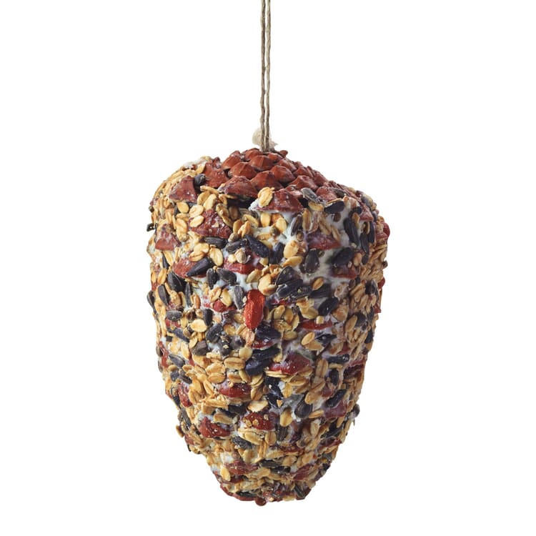 Pine Cone with Birdfeed