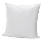 Oreiller 30% duvet d'oie 80 × 80 cm