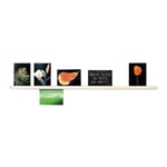Picture Rail Lessing