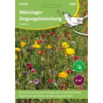 Blumensamen 'Mössinger Singvogelmischung'