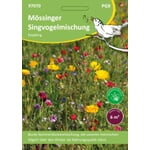 Graines de fleurs Mössinger mélange d'oiseaux chanteurs