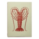 Sketchbook with Animal Motif Spiny Lobster