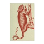 10 Greeting Cards with Animal Motifs Chameleon