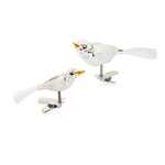 Oiseaux en verre de Lauscha traditionnels