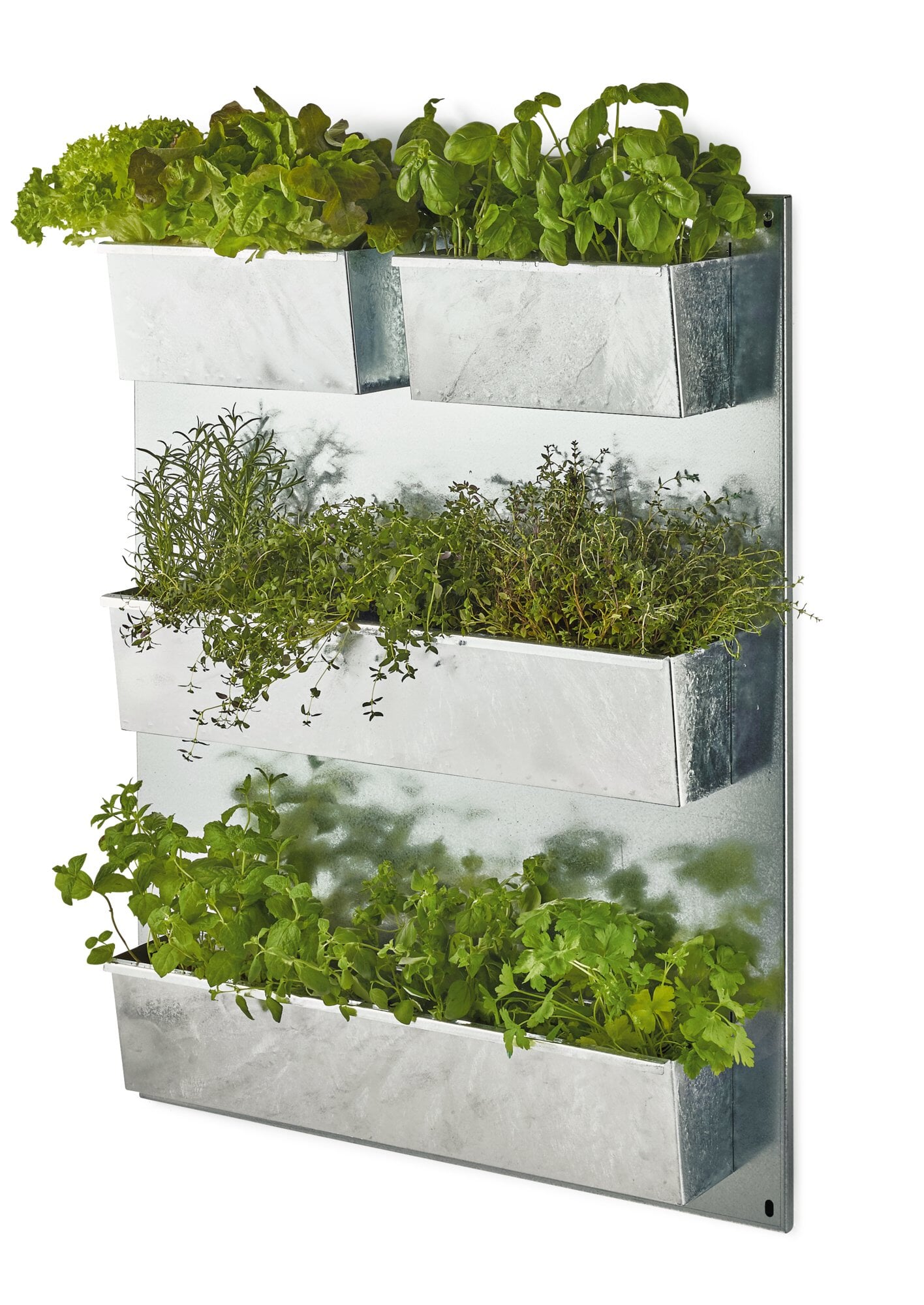 Verticale Tuin – 1 Witte Wandplanter Voor 6 Planten Met Sphagnum Mos – Binnen En Buiten, Inclusief Instructies