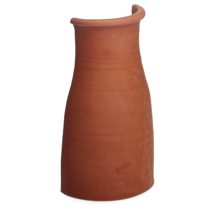 Pied de clématite terre cuite