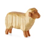 Sheep Light Coloured Standing
