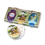 Anise pastilles nature - violet - mint