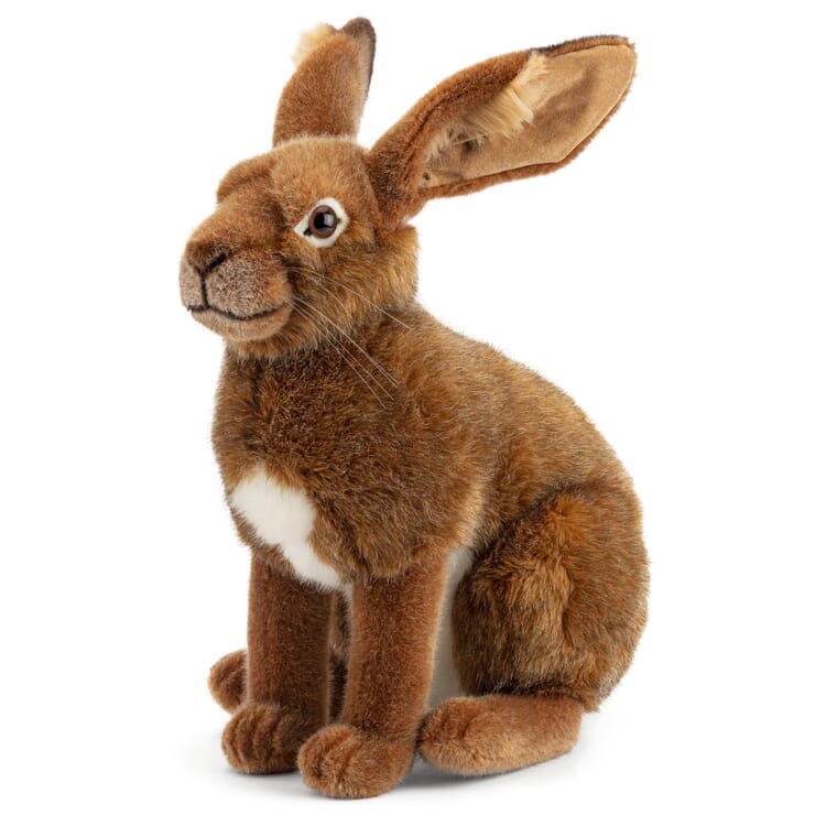 Kösener Field Hare