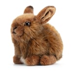 Small Hare by Kösen